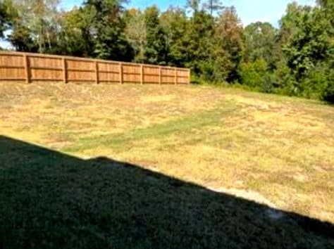 Fully fenced backyard bordered by mature trees