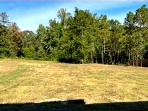 Open backyard lawn backing up to a private tree line