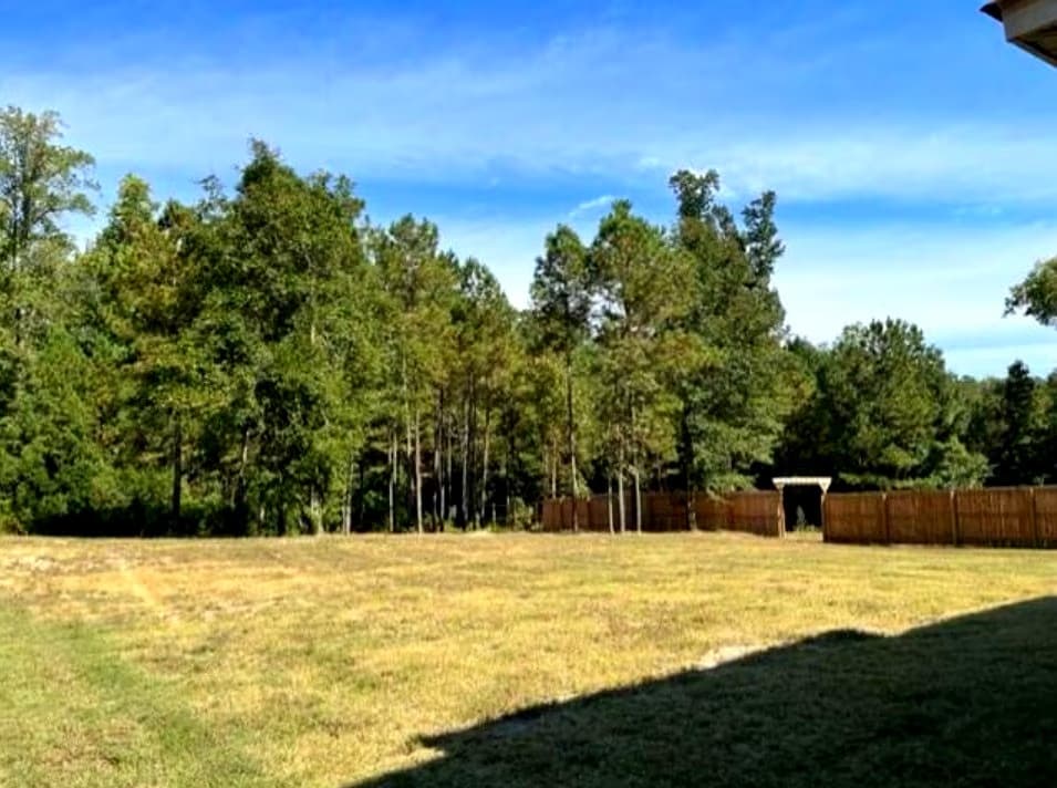Expansive fenced backyard with wooded buffer for privacy